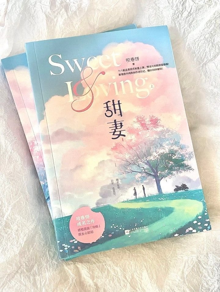 Novel Book